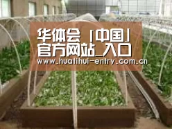 环境展示五