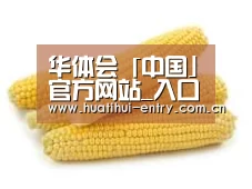 产品名称五