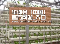 环境展示六