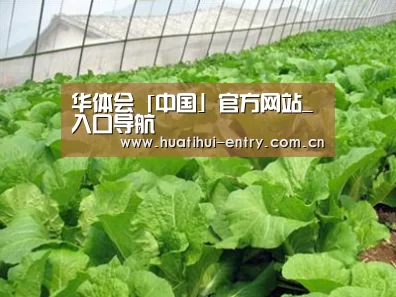 种植基地一