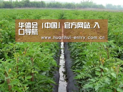 种植基地三