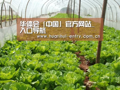 种植基地五