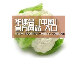 产品名称九