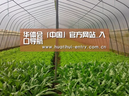 种植基地四