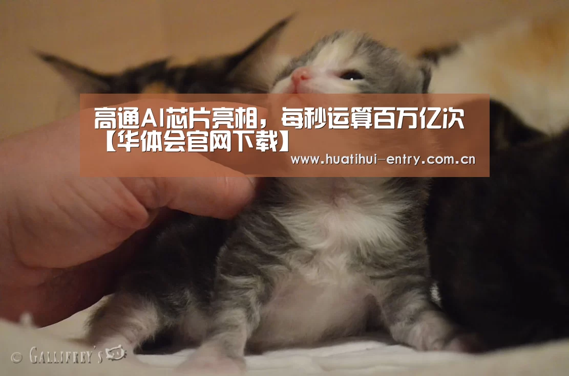 高通AI芯片亮相,每秒运算百万亿次【华体会官网下载】(图3) 华体会官方网站入口