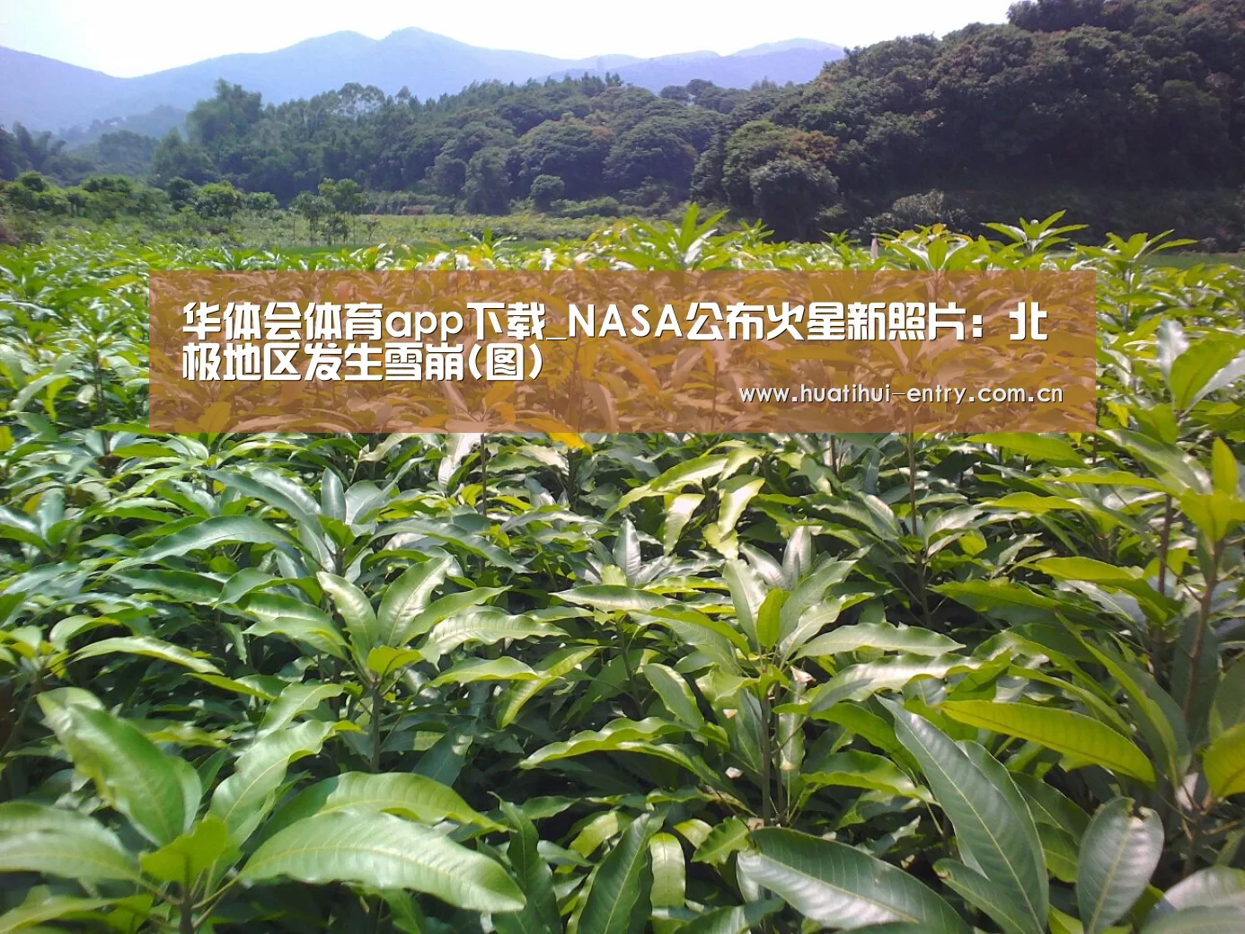 华体会体育app下载_NASA公布火星新照片:北极地区发生雪崩(图)(图3) 华体会体育app下载