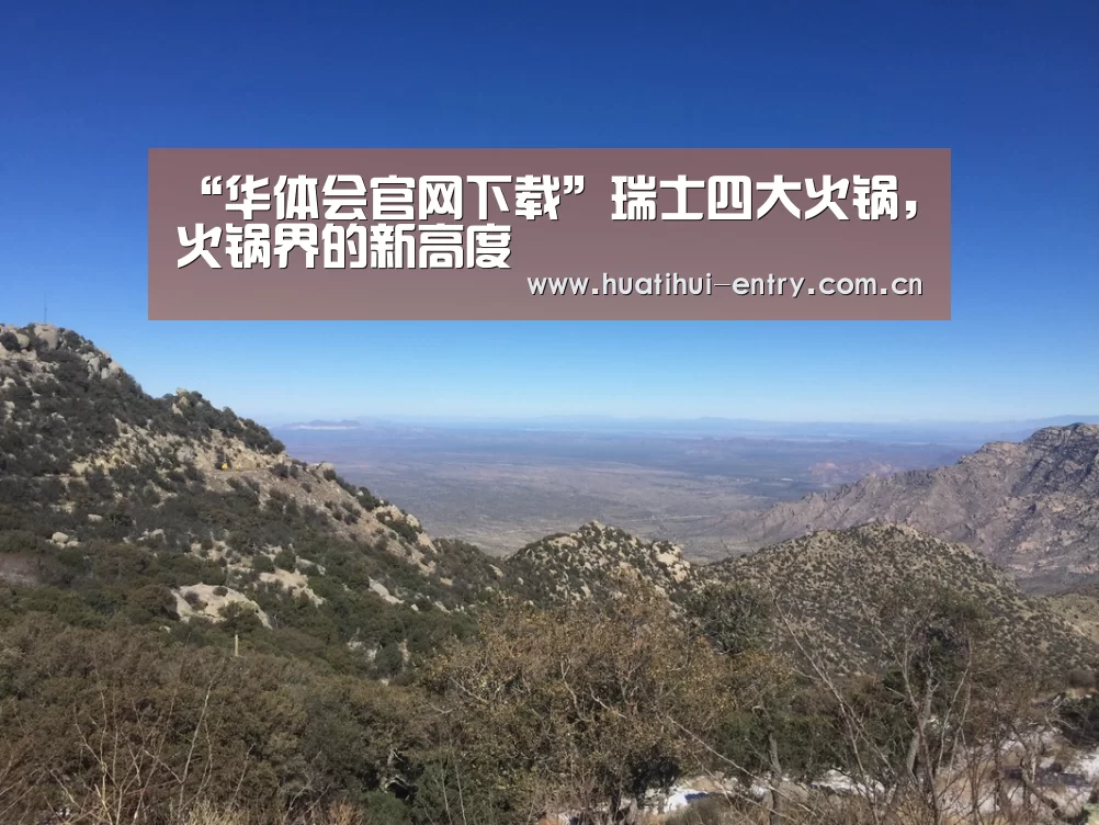“华体会官网下载”瑞士四大火锅,火锅界的新高度(图4) 华体会官方网站入口