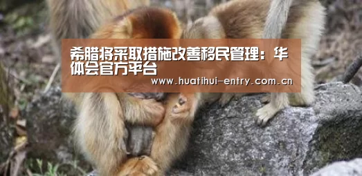 希腊将采取措施改善移民管理:华体会官方平台(图1) 华体会官方网站入口