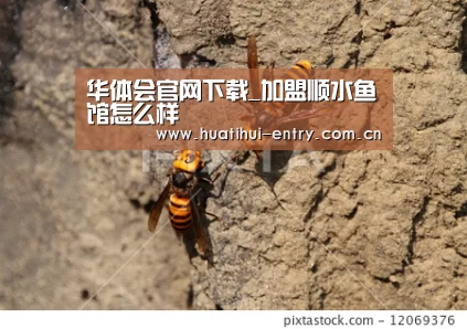 华体会官网下载_加盟顺水鱼馆怎么样(图3) 华体会官方网站入口