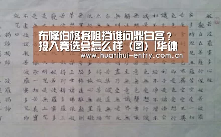 布隆伯格将阻挡谁问鼎白宫?投入竞选会怎么样(图)|华体会官方网站入口(图1) 华体会体育app下载