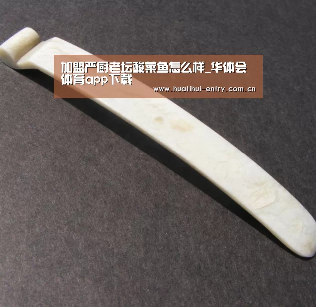 加盟严厨老坛酸菜鱼怎么样_华体会体育app下载(图1) 华体会体育app下载