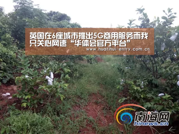 英国在6座城市推出5G商用服务而我只关心网速“华体会官方平台”(图1) 华体会官方网站入口