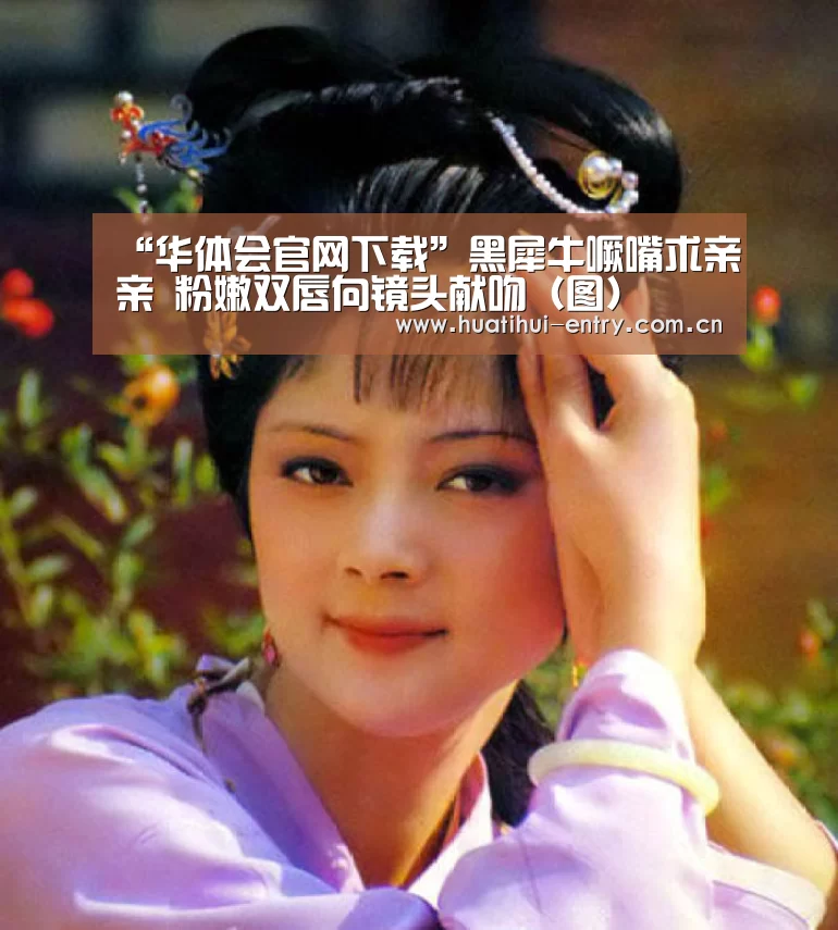 华体会官方网站入口