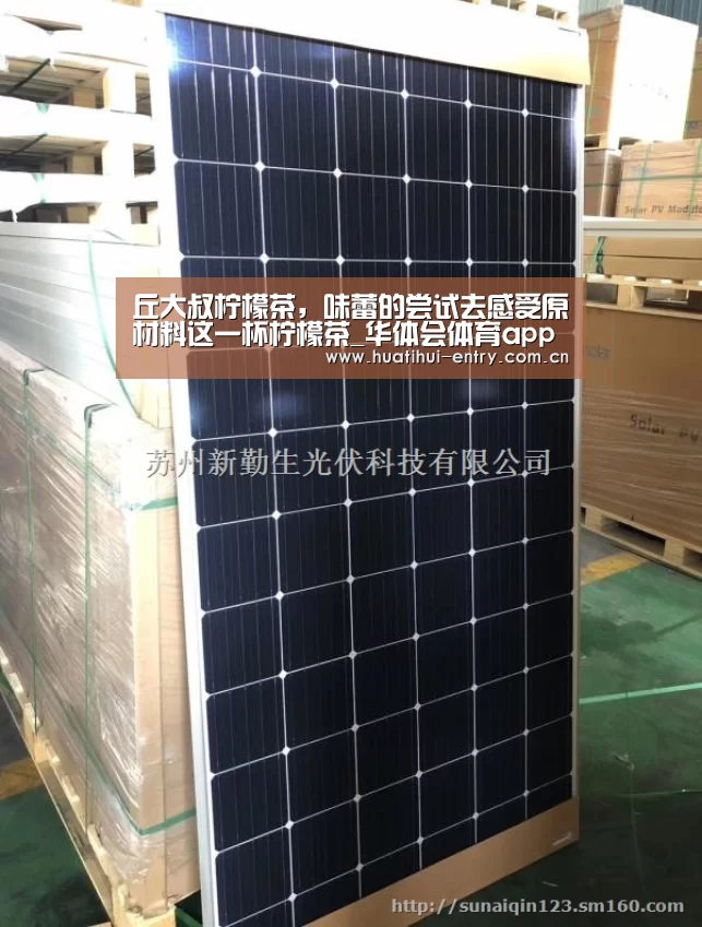 华体会体育app下载