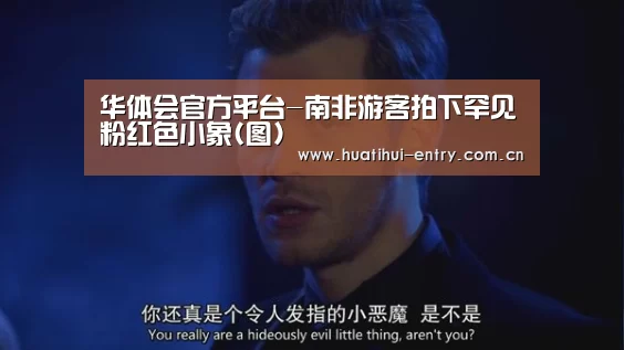 华体会官网下载