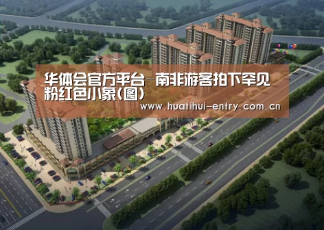 华体会官方网站入口