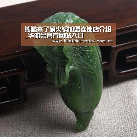 熊喵来了萌火锅加盟连锁店介绍_华体会官方网站入口(图3) 华体会体育app下载