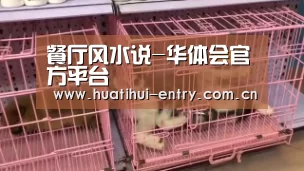 餐厅风水说-华体会官方平台(图4) 华体会体育app下载